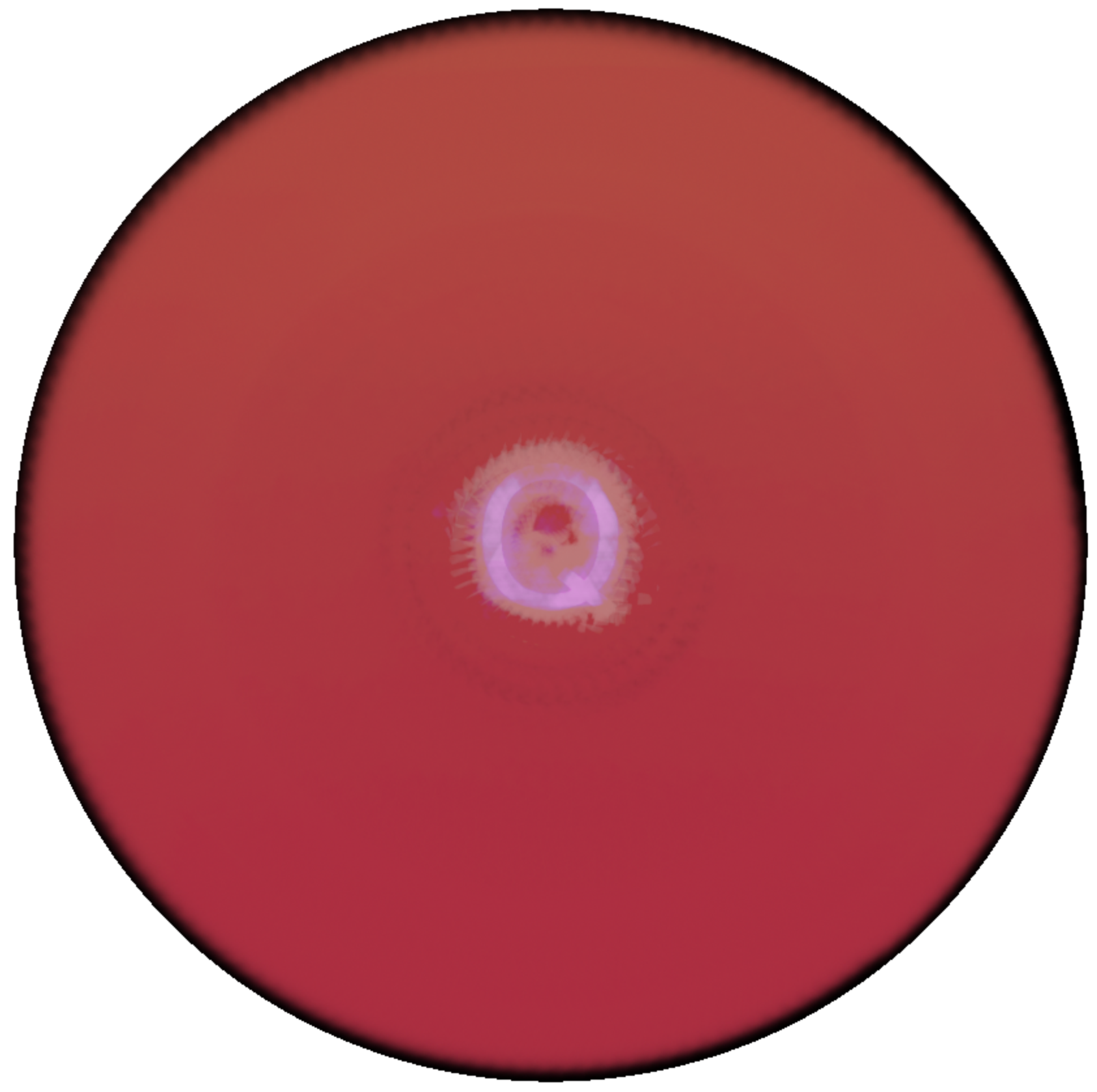 Letter Q